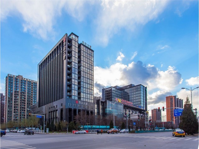 西藏葡萄苗价格