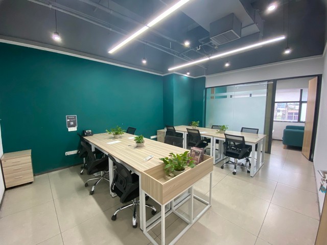 云南富源二代白魔芋种子批发价格多少钱一斤