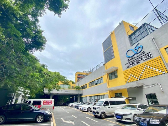 质粒转染试剂原理