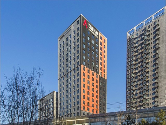 泸州早熟禾草坪种植基地